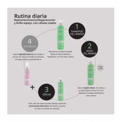 Pack Cell Innove regenerating and rejuvenating the hair